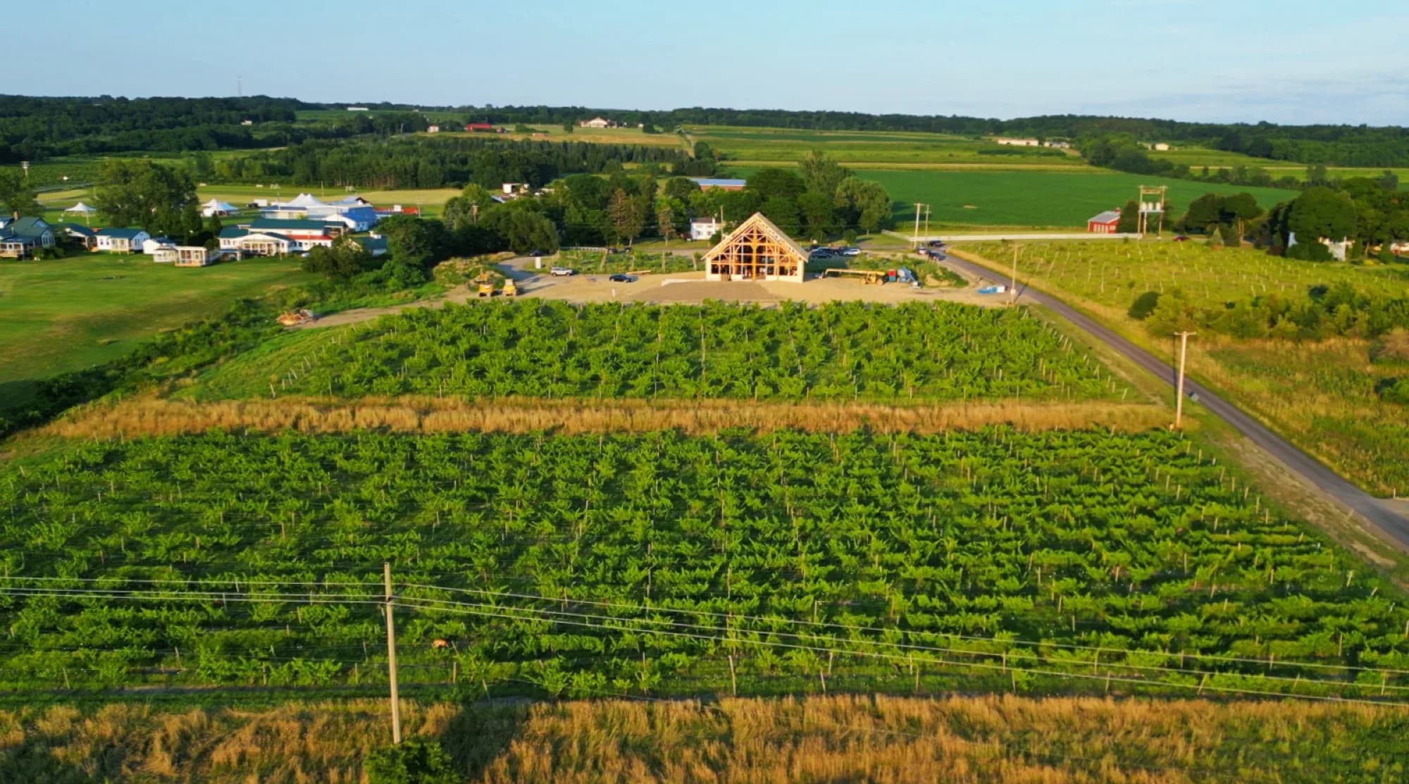 The 1487 Heritage barn standing among the vineyards above Seneca Lake
